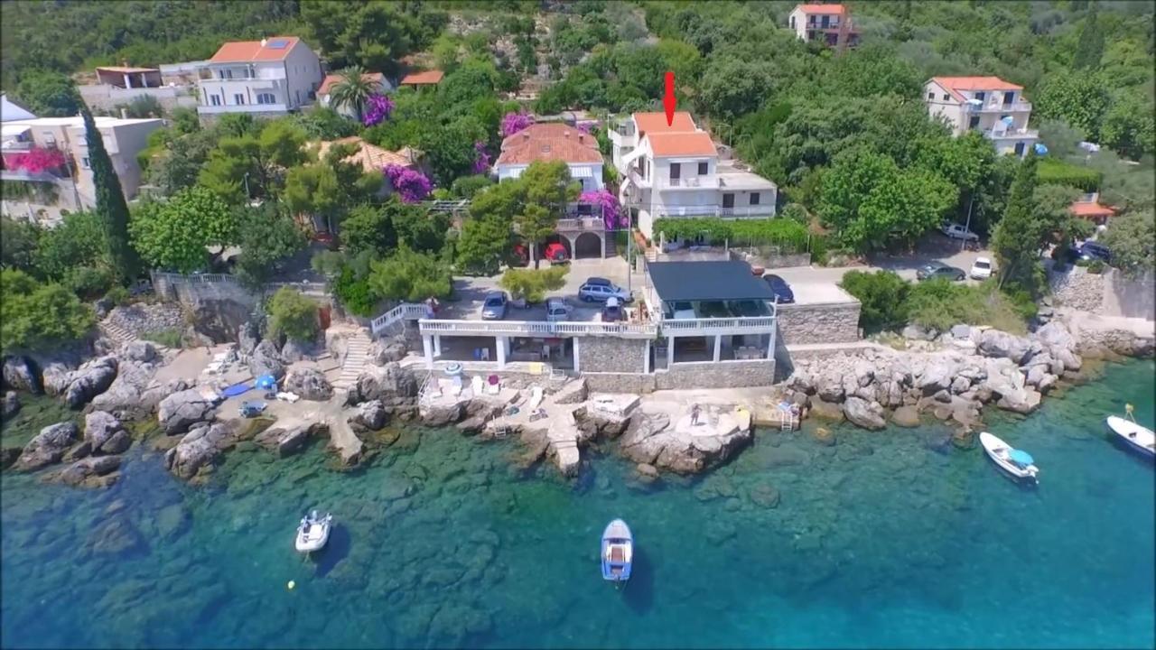 Apartments Miovic Молунат Екстер'єр фото